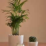 アパート Boutique A 3 Minutos De La Catedral