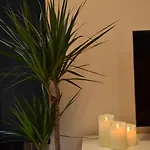 Boutique A 3 Minutos De La Catedral Oviedo