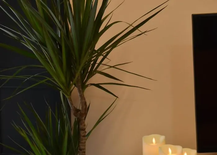 Boutique A 3 Minutos De La Catedral Oviedo